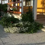 Lägenhet Marta Ražanac