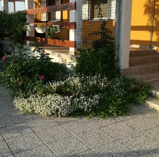 Apartment Marta Ražanac